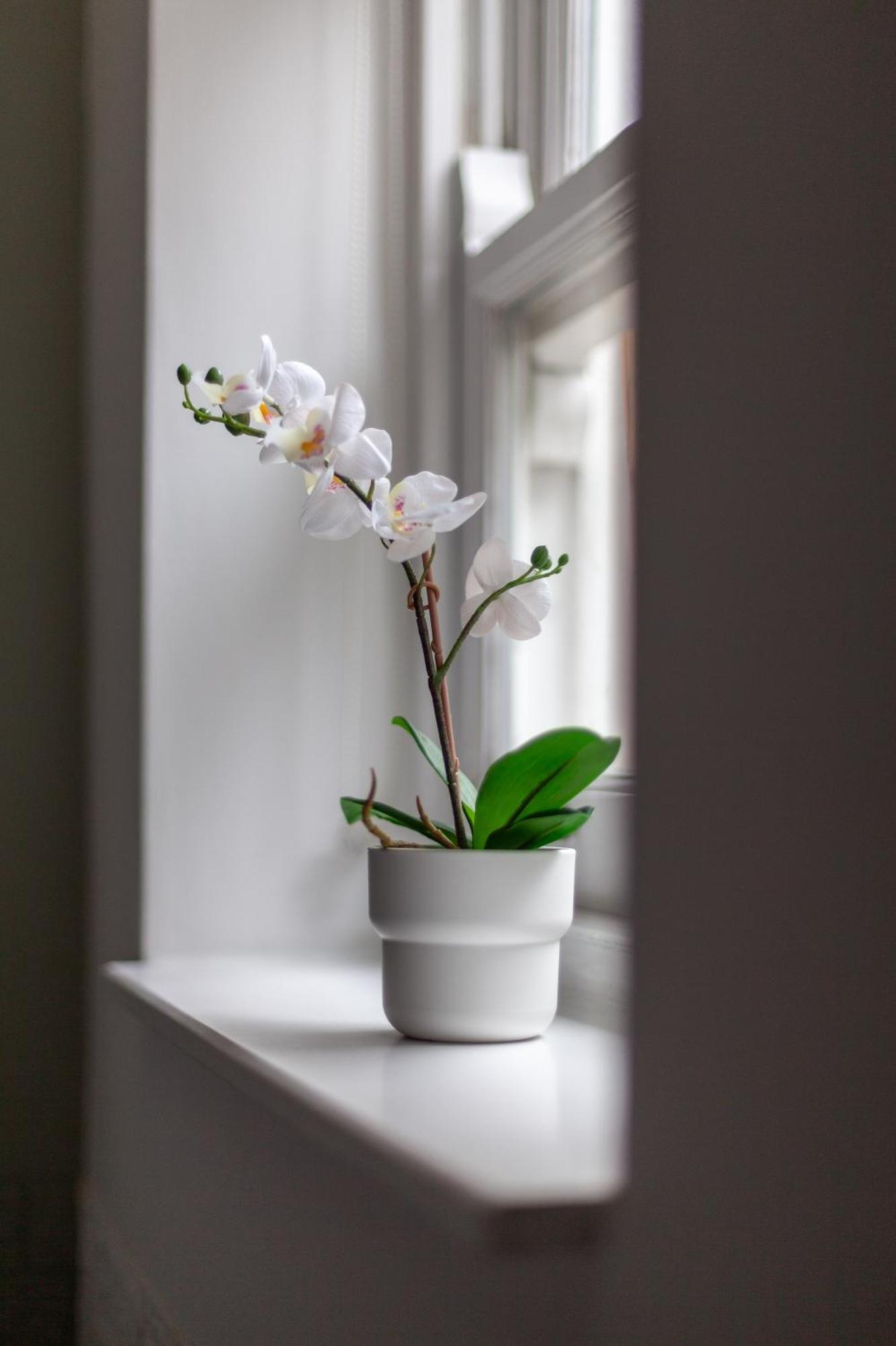 The Hackney Luxury Flat Apartment London Luaran gambar
